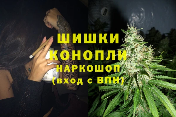 винт Верея