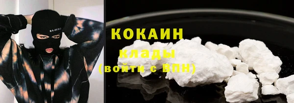 винт Верея