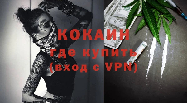 винт Верея