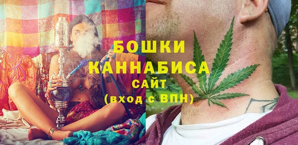 винт Верея